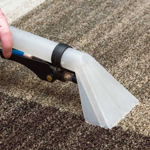 Carpet Cleaning | Everlast Floors