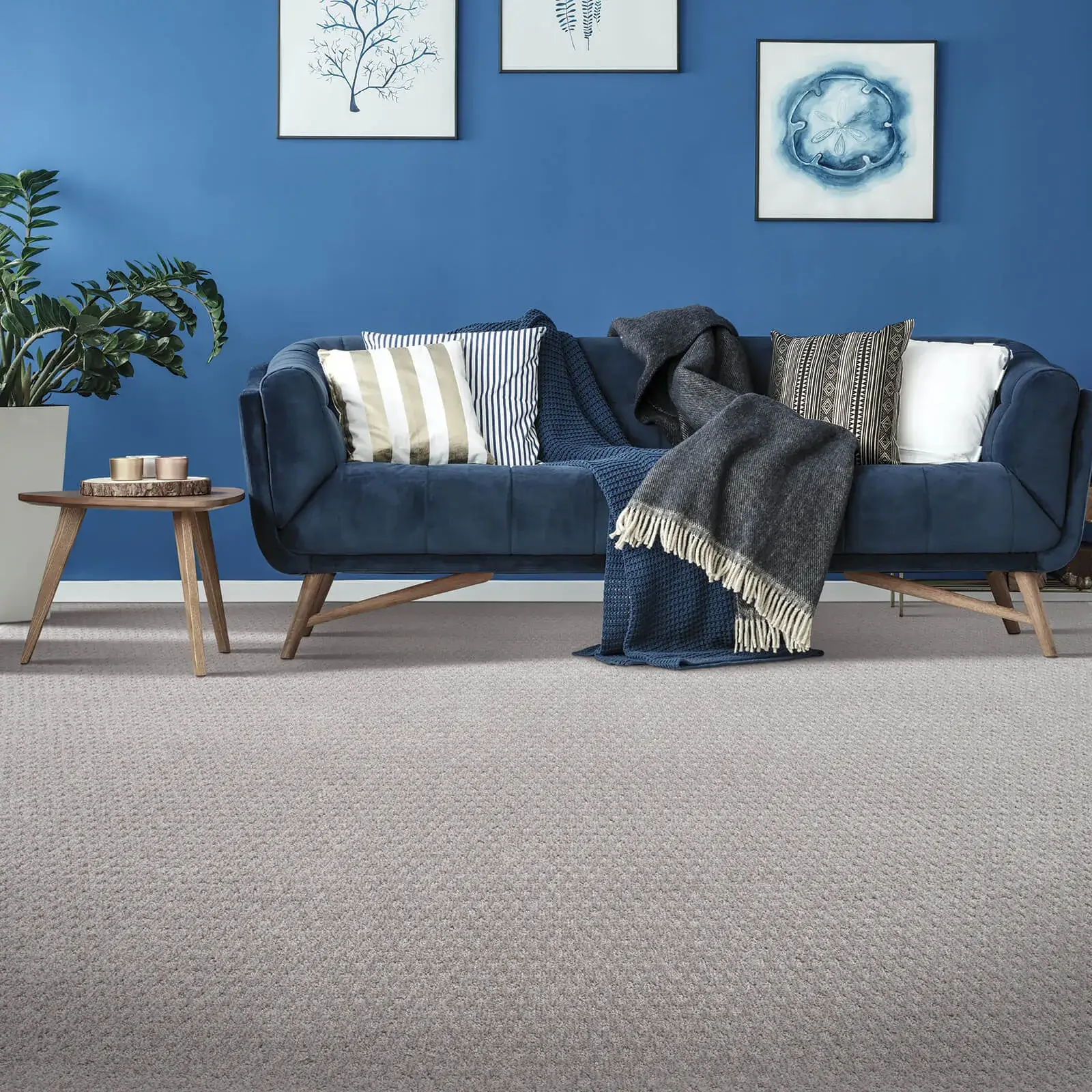 Living room carpet | Everlast Floors